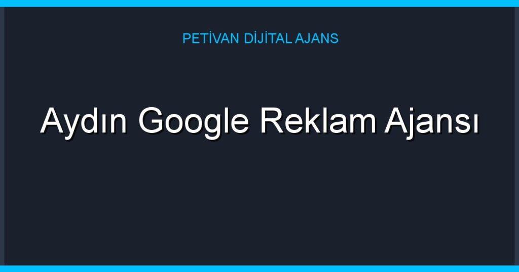 Aydın Google Reklam Ajansı