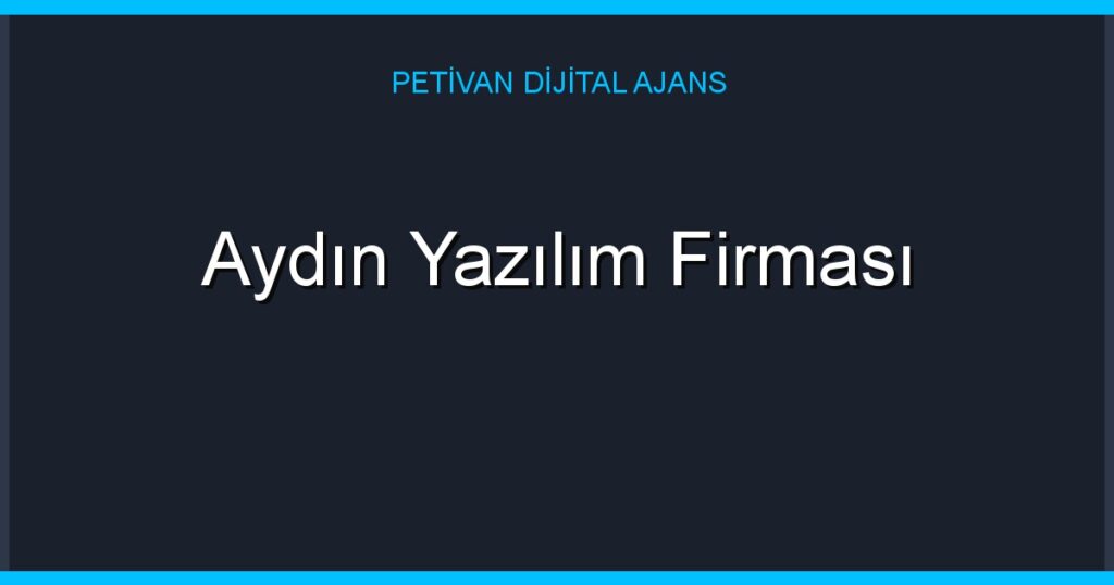 Aydın Yazılım Firması