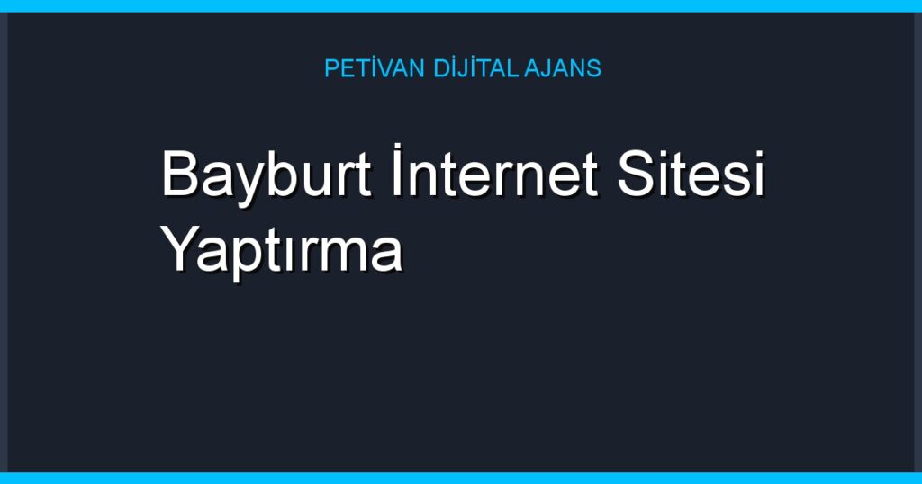 Bayburt İnternet Sitesi Yaptırma
