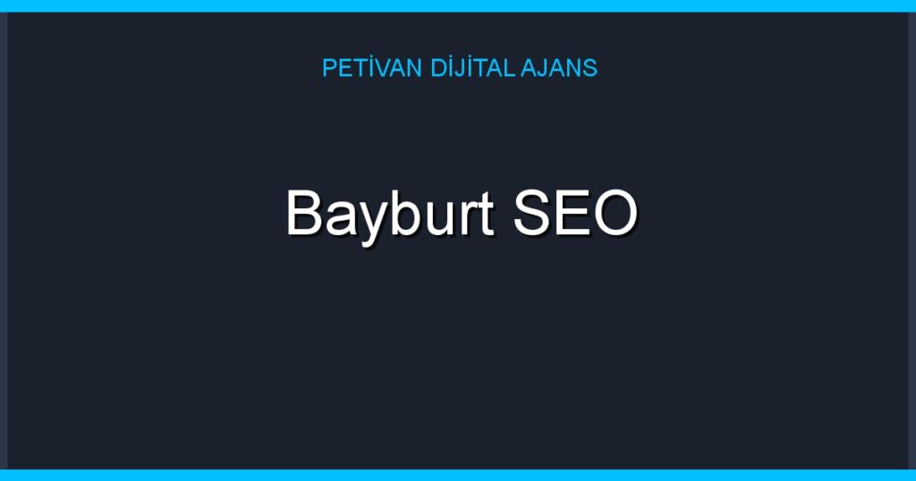 Bayburt SEO