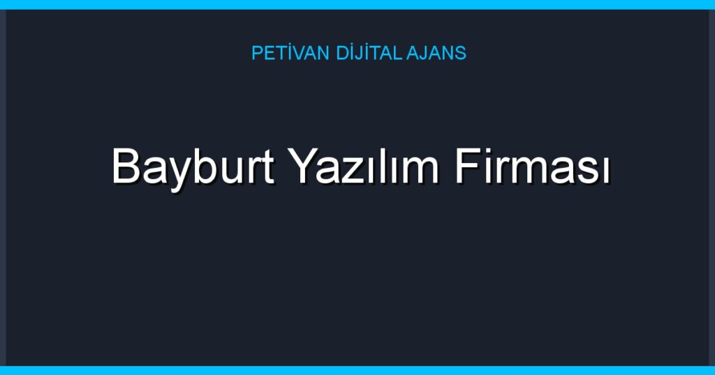 Bayburt Yazılım Firması