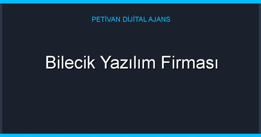 Bilecik Yazılım Firması