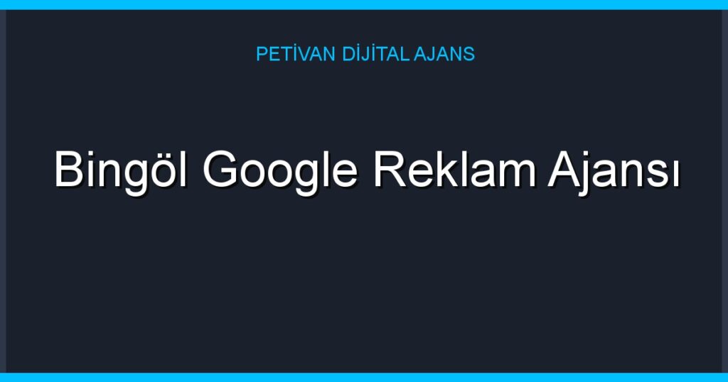 Bingöl Google Reklam Ajansı
