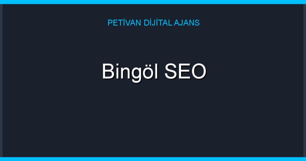 Bingöl SEO