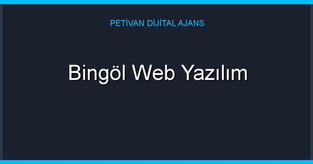 Bingöl Web Yazılım
