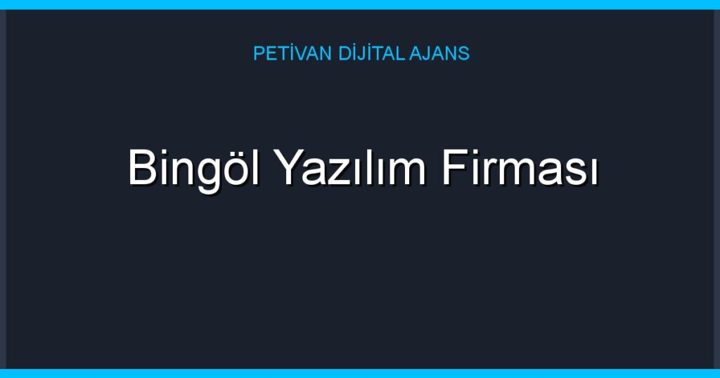 Bingöl Yazılım Firması