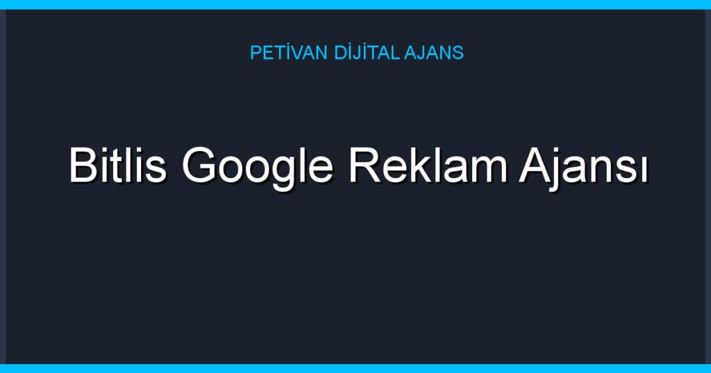 Bitlis Google Reklam Ajansı