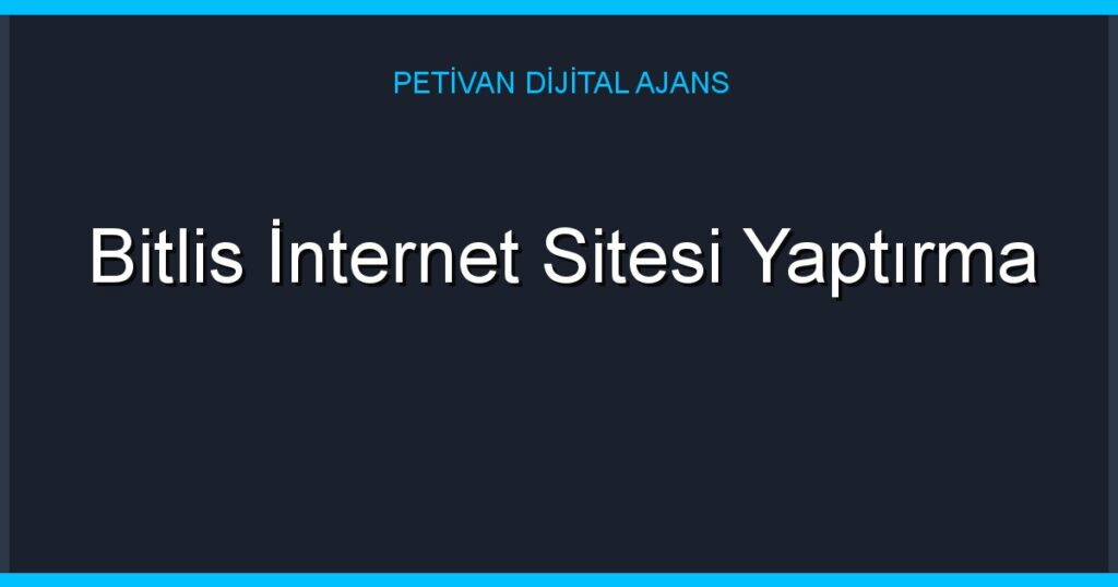 Bitlis İnternet Sitesi Yaptırma