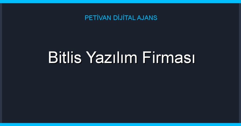 Bitlis Yazılım Firması