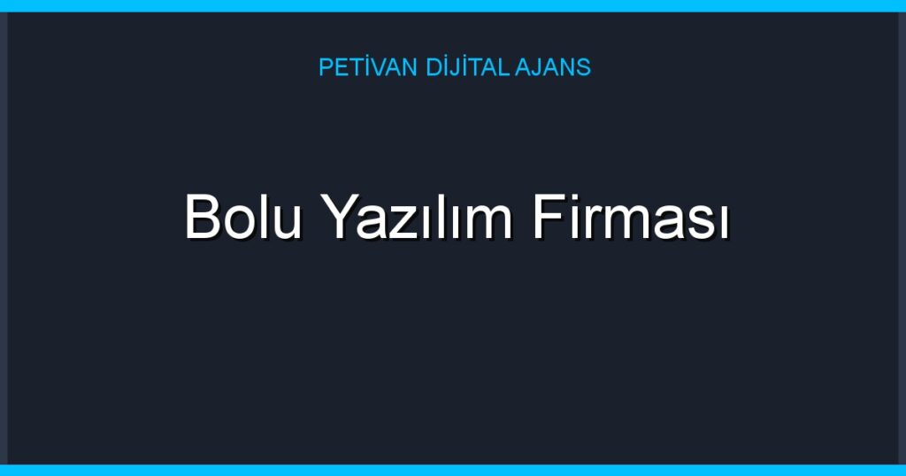 Bolu Yazılım Firması