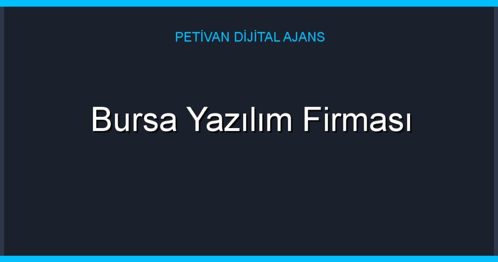 Bursa Yazılım Firması