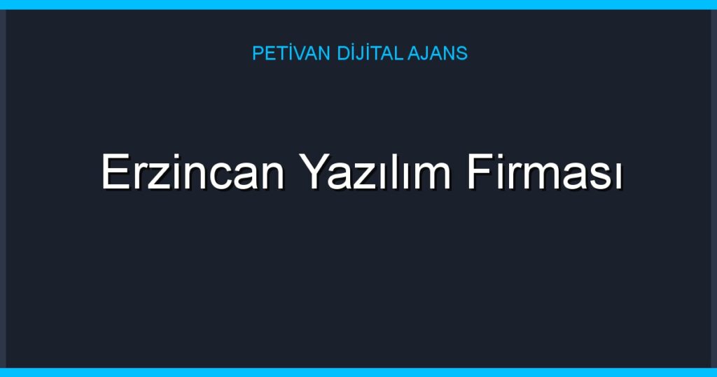 Erzincan Yazılım Firması