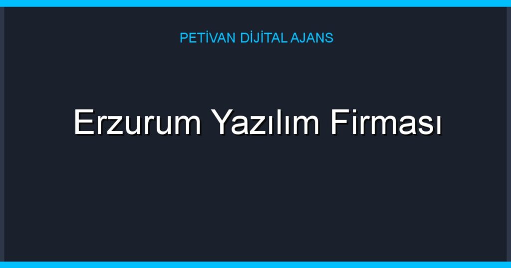 Erzurum Yazılım Firması