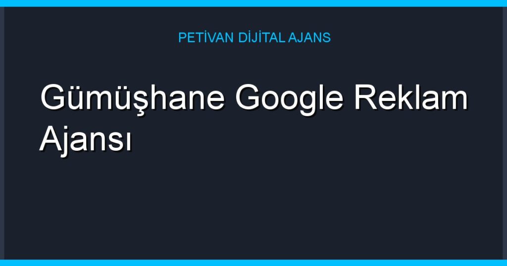 Gümüşhane Google Reklam Ajansı