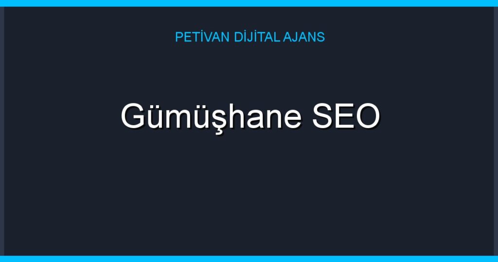 Gümüşhane SEO