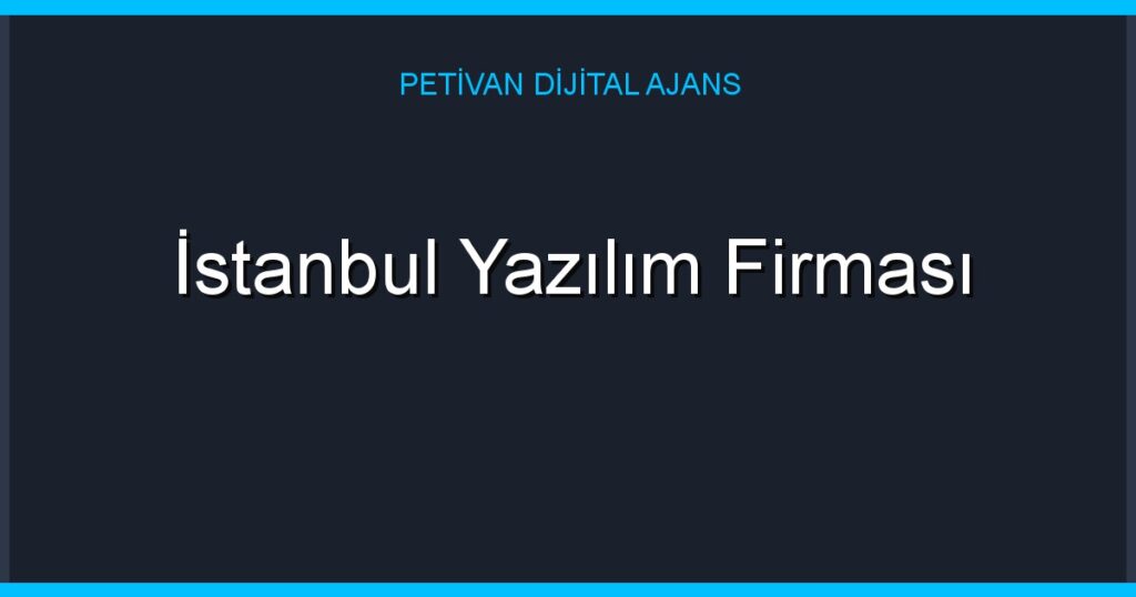 İstanbul Yazılım Firması