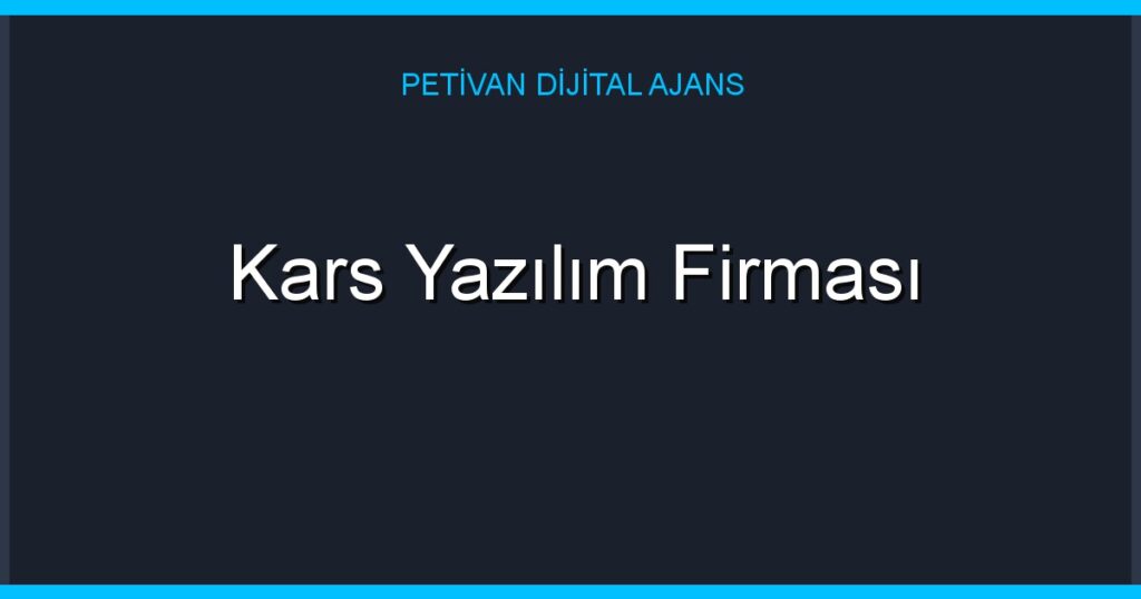 Kars Yazılım Firması