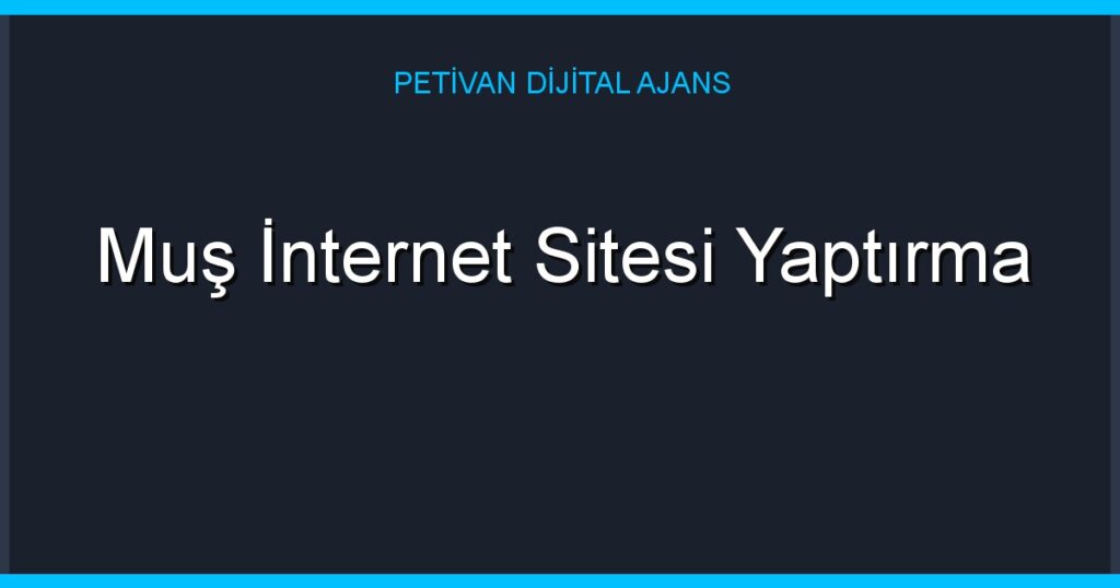 Muş İnternet Sitesi Yaptırma