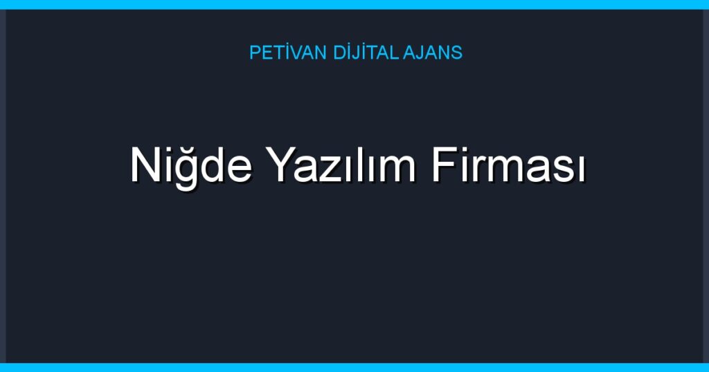 Niğde Yazılım Firması