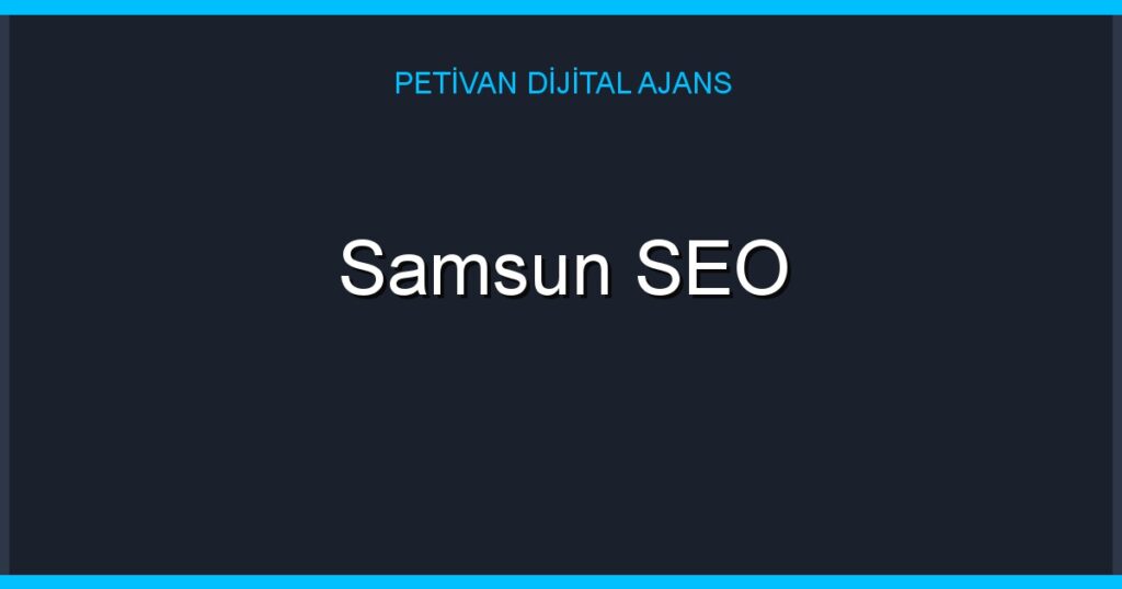 Samsun SEO