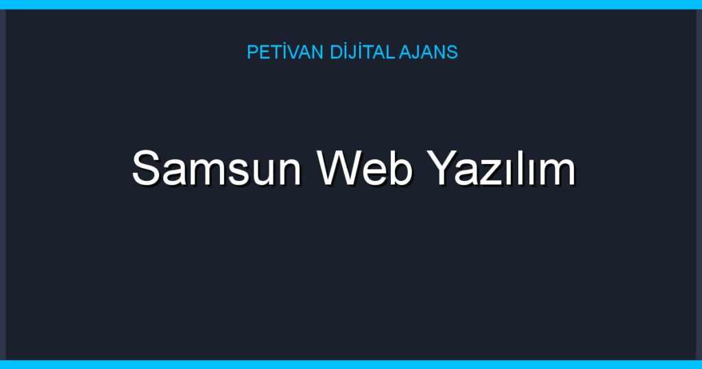 Samsun Web Yazılım