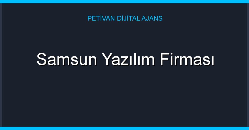 Samsun Yazılım Firması