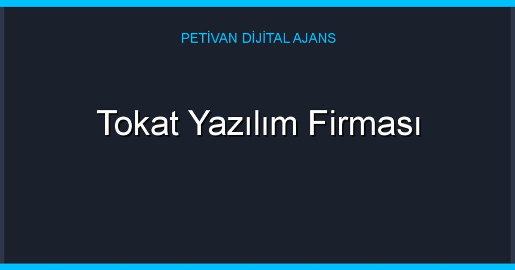 Tokat Yazılım Firması