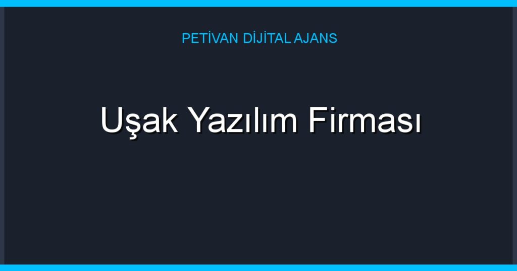 Uşak Yazılım Firması