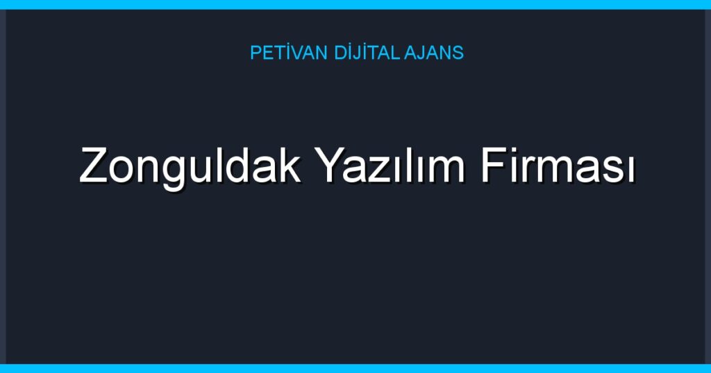 Zonguldak Yazılım Firması